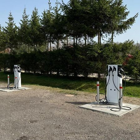 Vila Radailiai - Dinosaur Park Zewnętrze zdjęcie